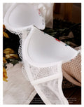 High-end Brand Sexy Print Bra set Lace Trim Floral Women Lingerie Set