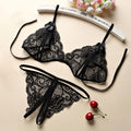 Sexy Hollow Lingerie Set Plus Size Lace Deep V Erotic Sexy Bra Set