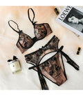Push up Transparent Lace Embroidery Unlined Thin Lingerie